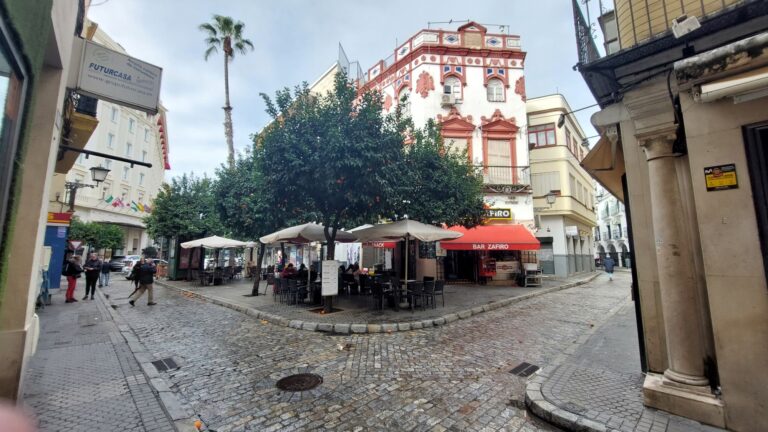 20250203 112155 001 768x432